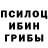 Псилоцибиновые грибы прущие грибы Mesatallic