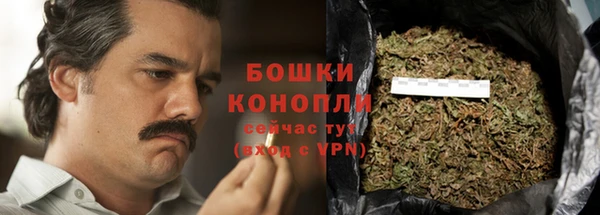 сатива Беломорск