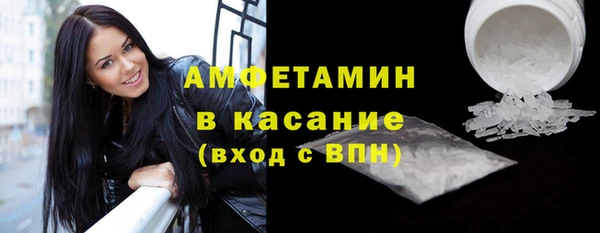 сатива Беломорск