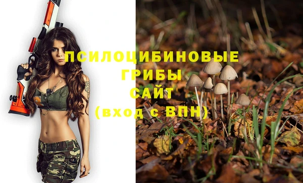 кокс Белокуриха