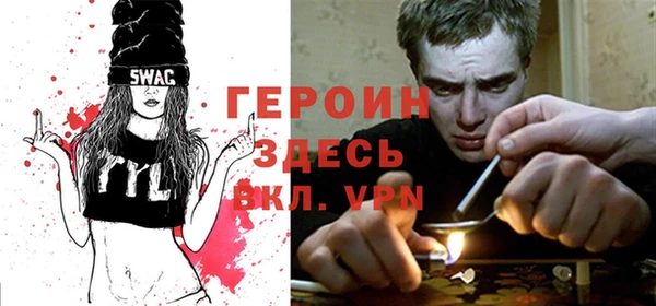 сатива Беломорск