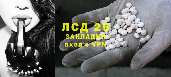 сатива Беломорск