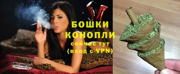 сатива Беломорск